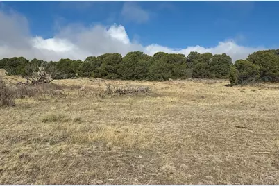 146 Colorado Land and Grazing, Gardner, CO 81040 - Photo 5