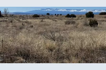 257 E Hastings Ave, Pueblo West, CO 81007 - Photo 1