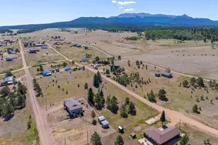 1014 Elfin Glen Dr, Divide, CO 80814 - Photo 3