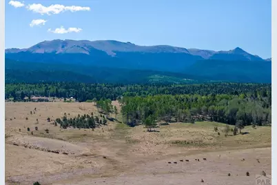 1014 Elfin Glen Dr, Divide, CO 80814 - Photo 37
