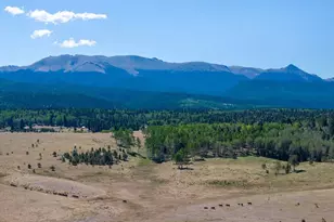 1014 Elfin Glen Dr, Divide, CO 80814 - Photo 37