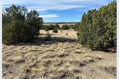 Lot 122 Ghost River Ranch, Rye, CO 81069 - Photo 15
