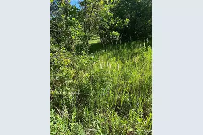 Tbd Pine Dr, Beulah, CO 81023 - Photo 3