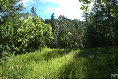 Tbd Pine Dr, Beulah, CO 81023 - Photo 7