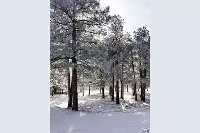 Tbd Pine Dr, Beulah, CO 81023 - Photo 21