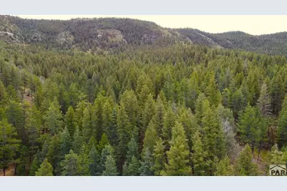 Tbd Pine Dr, Beulah, CO 81023 - Photo 13