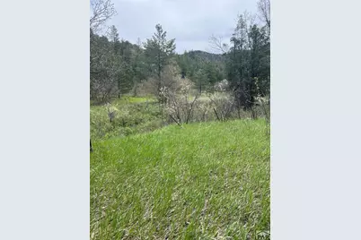 Tbd Pine Dr, Beulah, CO 81023 - Photo 5