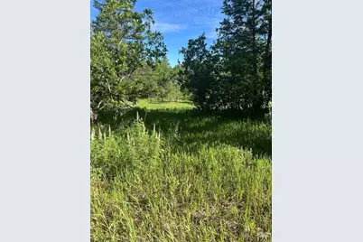 Tbd Pine Dr, Beulah, CO 81023 - Photo 1