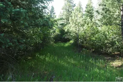 Tbd Pine Dr, Beulah, CO 81023 - Photo 9