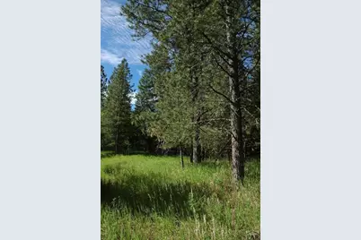 Tbd Pine Dr, Beulah, CO 81023 - Photo 15