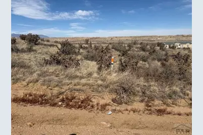 5225 Salt Cedar Rd, Pueblo, CO 81008 - Photo 15