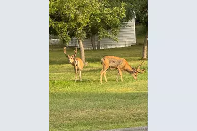 4813 Taos Dr., Colorado City, CO 81019 - Photo 25