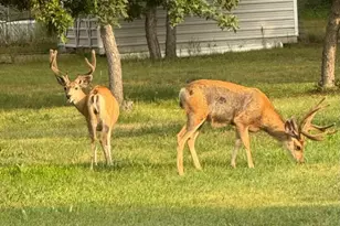 4813 Taos Dr, Colorado City, CO 81019 - Photo 25