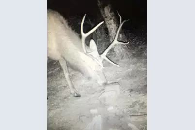 Tbd Forbes Rd, Fort Garland, CO 81133 - Photo 1