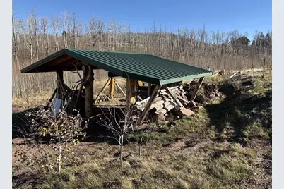 1654 Cary Ln, Fort Garland, CO 81133 - Photo 11