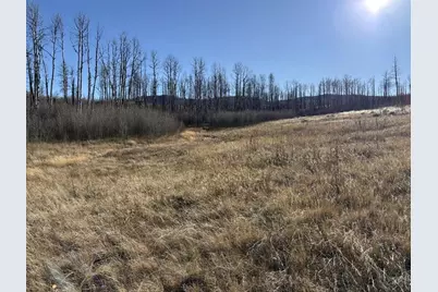 1654 Cary Ln, Fort Garland, CO 81133 - Photo 5