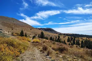 3939 McIntire Dr, Colorado City, CO 81019 - Photo 39