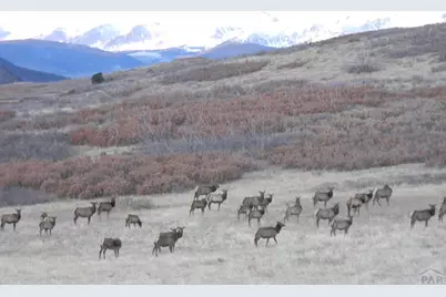 421 Terrace Trail, La Veta, CO 81055 - Photo 49