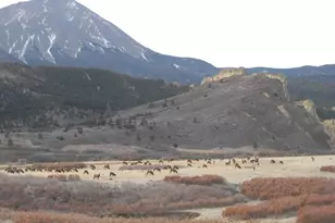 421 Terrace Trl, La Veta, CO 81055 - Photo 53