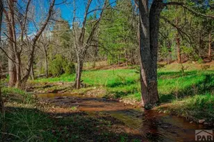 5207 Northcreek Rd, Beulah, CO 81023 - Photo 49