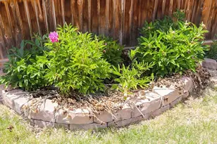 964 Peachcrest Dr, Pueblo, CO 81005 - Photo 19