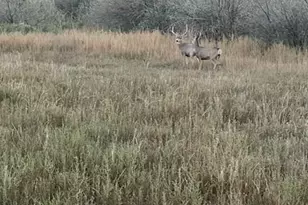 1400 K St, Penrose, CO 81240 - Photo 11