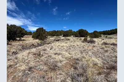 415 Kiowa Rd, Westcliffe, CO 81252 - Photo 13