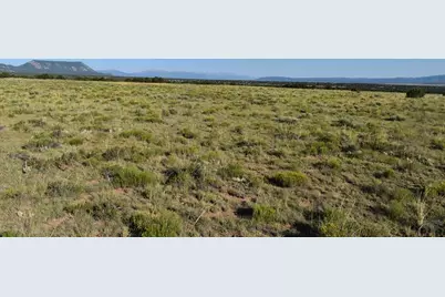 000 Lizard Ln, Gardner, CO 81040 - Photo 9