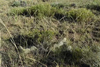 000 Lizard Ln, Gardner, CO 81040 - Photo 5