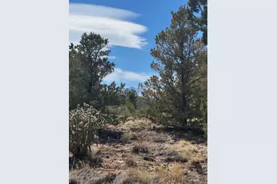 L29-30 B2 Orlando's Way, Walsenburg, CO 81089 - Photo 15