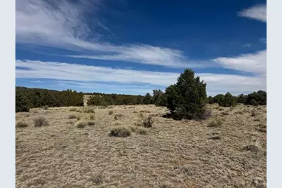 L29-30 B2 Orlando's Way, Walsenburg, CO 81089 - Photo 9