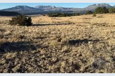 21 Turkey Creek Ranches, Walsenburg, CO 81089 - Photo 7