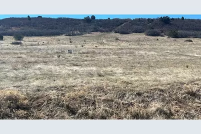 Tbd Davlin St, Colorado City, CO 81019 - Photo 1