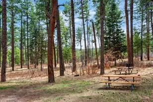 8912 S Pine Dr, Beulah, CO 81023 - Photo 47