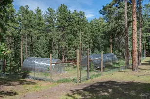 8912 S Pine Dr, Beulah, CO 81023 - Photo 39