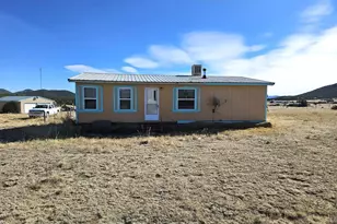 439 15th Trail, Cotopaxi, CO 81223 - Photo 1