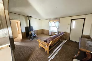 439 15th Trail, Cotopaxi, CO 81223 - Photo 3