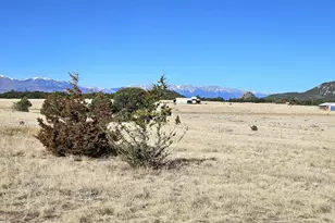 439 15th Trail, Cotopaxi, CO 81223 - Photo 17