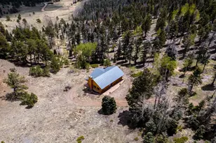 3549 Eagle Springs Rd, Westcliffe, CO 81252 - Photo 3
