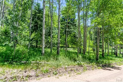 Tbd Westcliffe Dr, Rye, CO 81069 - Photo 3