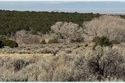 Lot 2121 Acapulco Rd, Fort Garland, CO 81133 - Photo 7