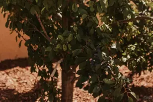 533 W Archer Dr, Pueblo West, CO 81007 - Photo 63