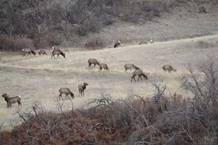 1325 Primavera Pl, La Veta, CO 81055 - Photo 49