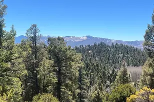 3140 Schierl Rd, Fort Garland, CO 81133 - Photo 5