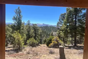 3140 Schierl Rd, Fort Garland, CO 81133 - Photo 35