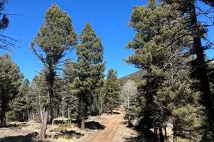 3140 Schierl Rd, Fort Garland, CO 81133 - Photo 45