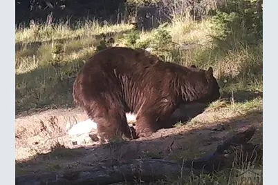 3140 Schierl Rd, Fort Garland, CO 81133 - Photo 47