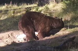 3140 Schierl Rd, Fort Garland, CO 81133 - Photo 47