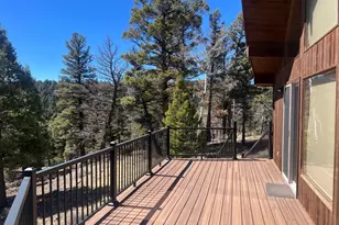 3140 Schierl Rd, Fort Garland, CO 81133 - Photo 39