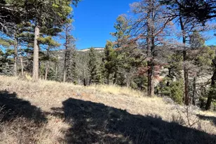 3140 Schierl Rd, Fort Garland, CO 81133 - Photo 43